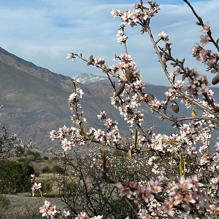 Cortijo Vacas Gordas B&B Кастель-де-Ферро Экстерьер фото