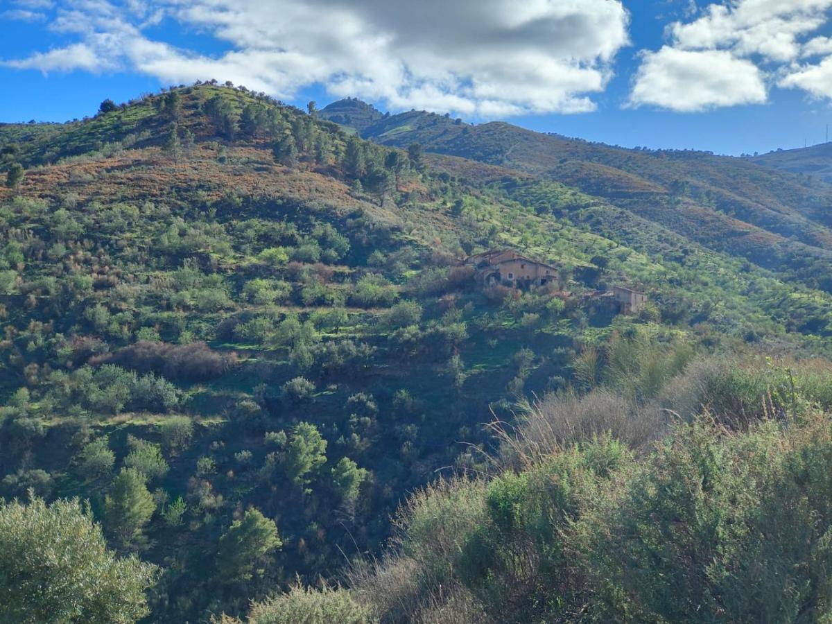 Cortijo Vacas Gordas B&B Кастель-де-Ферро Экстерьер фото